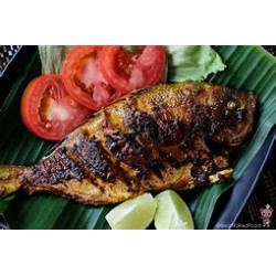 Tilapia Grilled Fish